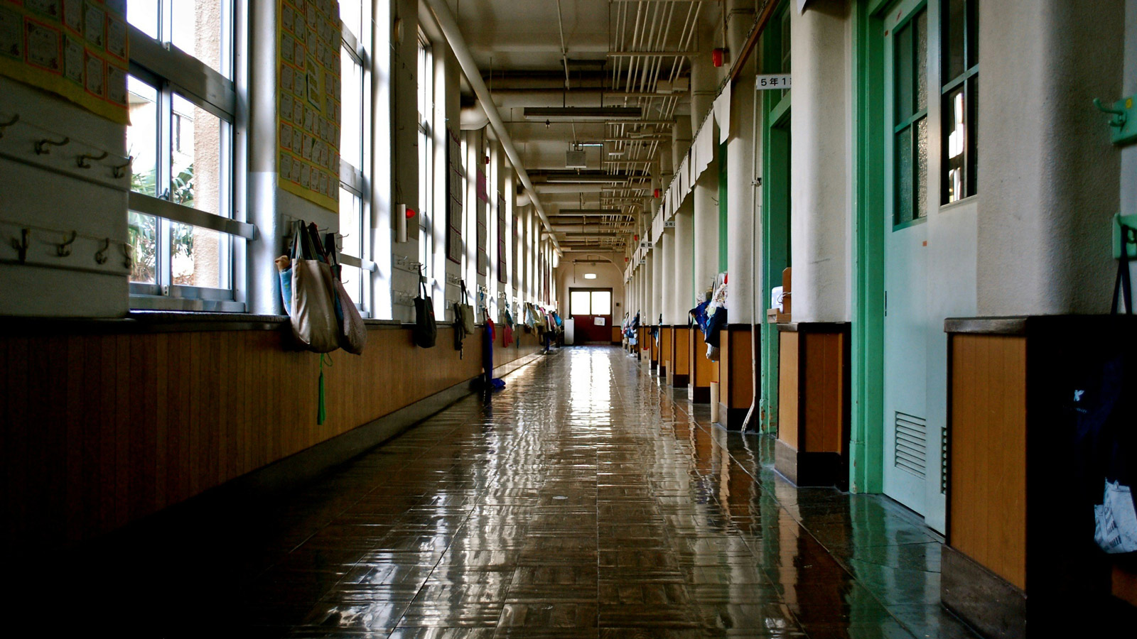 An empty school hallway; one one side of the hall, a long row of windows and hooks holding backpacks, and on the other, a row of classroom doors.